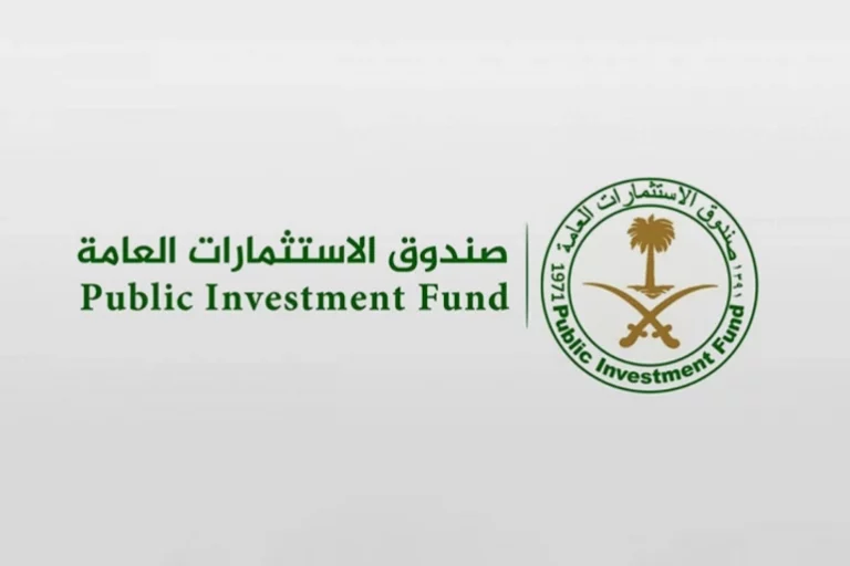 صندوق الاستثمارات العامة السعودي (مواقع إلكترونية)