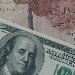 تسبب الانخفاض المستمر في قيمة الجنيه في معاناة المصريين من أزمة اقتصادية (الجزيرة)