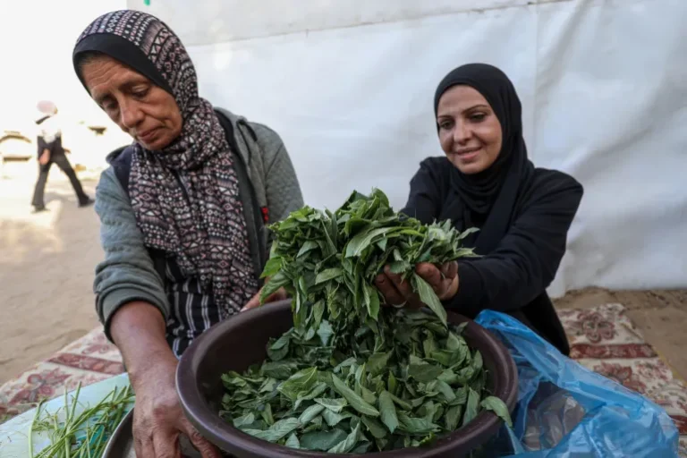 سهام أبو شعبان (مع والدتها) نزحت وعائلتها جنوب مدينة غزة في نوفمبر بعد أن تحملوا ما يقارب من شهرين من القصف المتواصل (الجزيرة)