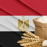 مصر تهدف إلى الحصول على 3.8 ملايين طن من القمح بحلول نهاية عام 2024 (شترستوك)